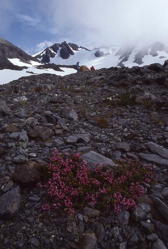 Bailey Trav 035 Aug-1989 Heather and Camp Under Mt Ferry.jpg